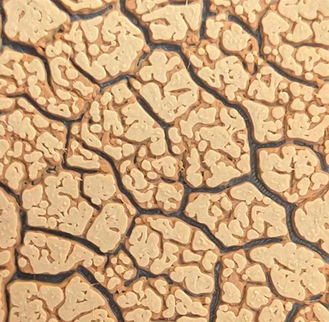 Grid image