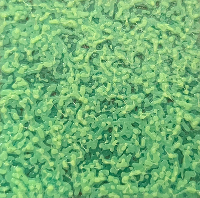 Grid image